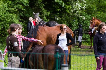 Bild 196 - Reitschule Jan�en Jubil�um